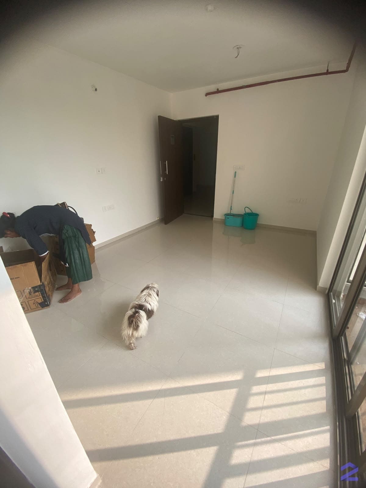1 BHK Apartment in Runwal Mycity