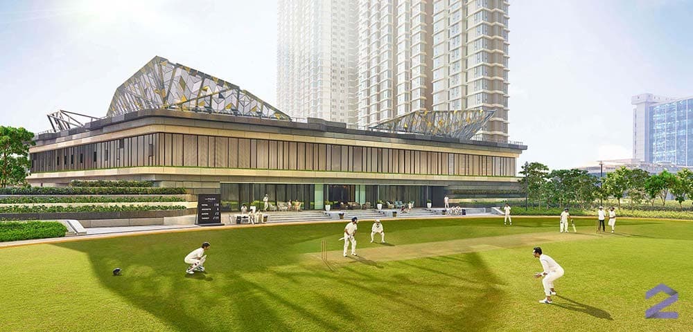 Cricket Pitch