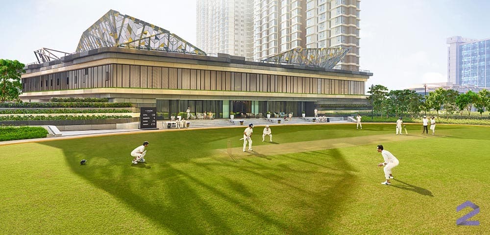 Cricket Pitch